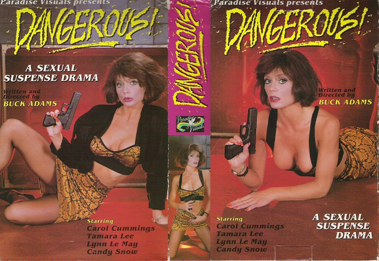 Dangerous.avi.jpg